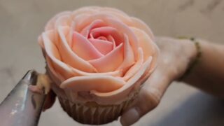 🌹 POV: You never thought piping a buttercream rose could be this easy.
The petal rose is one of those flowers that looks complicated... until you know the technique. 💕
With the right buttercream consistency and a little practice, you'll be creating beautiful roses one petal at a time.
Want to learn? Join one of our cupcake decorating workshops, or grab one of our Cake Mixes and Complete Icing Kits. The kit includes the piping tip, converts into a piping bag, and comes with a step-by-step video tutorial to help you build your confidence.
Bake like a Boss. Frost like a Pro. 🧁✨
#ButtercreamRose #CakeDecorating #CupcakeTutorial #TheSweetSpotCakes #BakeLikeABoss
